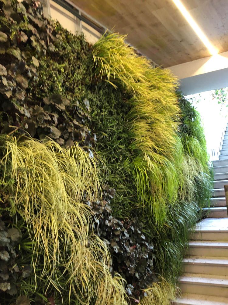 Vertical Gardens